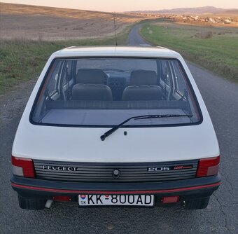 Peugeot 205 - 10