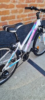 Bicykel Dema Pegas 24" alu - 10