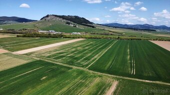 Podhorany – 8.227 m2 ORNÁ PÔDA v podiele 1/1 – Predaj - 10