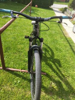 CTM Dirtking 2021 - 10