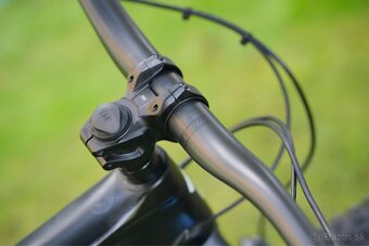 S-WORKS Enduro (L, Fox 36 + Float X2 Factory, MT7 PRO) - 10