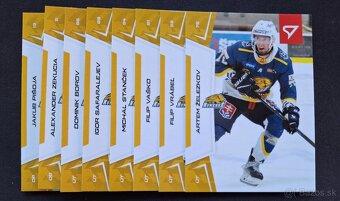 SHL 2024/25 - 10
