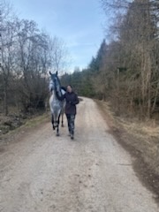 Pripúšťanie Shagya arab - 10