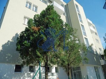 Prenájom slnečného 2izbového bytu na Račianskej ulici - 10