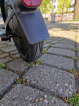 Ninebot Kickscooter F2 by Segway - 10