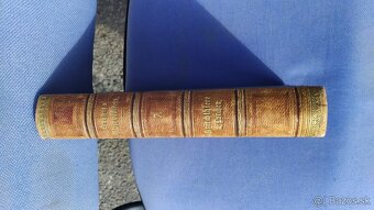 Brehms Thierleben kniha - 10