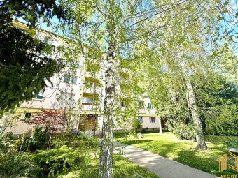 NA PRENÁJOM 2 - IZB. BYT s LOGGIOU, SENICA, KALINČIAKOVA UL - 10