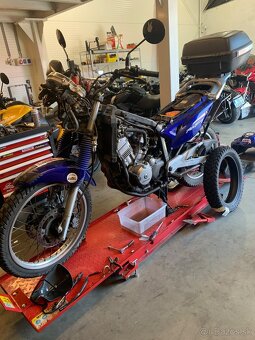 Predam honda transalp 650 - 10