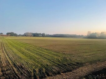 Veľký Pozemok 45 172 m² pri Malých Levároch - 10