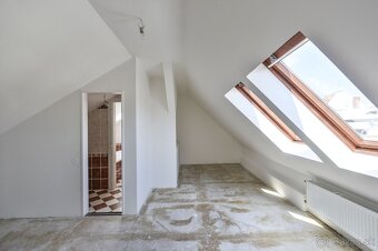 Prodej prostoru 5+kk/T s možností bydlení a podnikání - 10