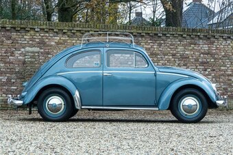 Volkswagen Beetle - 10
