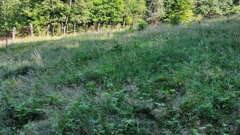 PREDAJ - POZEMOK NA SAMOTE DOLNÝ MILOCHOV OKRES POVAŽSKÁ BYS - 10