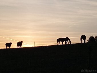 Ustajnenie 24/7 - 10