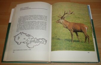 Atlas zvěře - 10