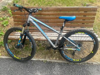 Kellys whip 50 - 10