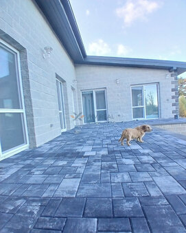 Moderný átriový rodinný dom v Beladiciach – novostavba - 10