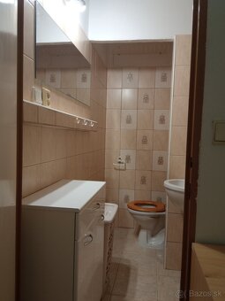 1 izbový byt - 10