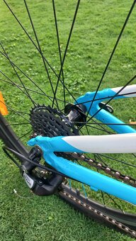 Frog 62 TEAM SKY - 10