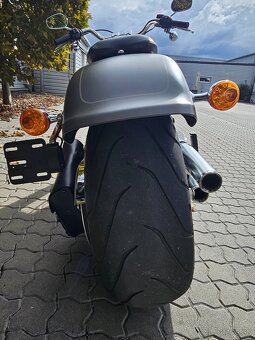 Harley Davidson Fat Boy 114 FLFBS - 10