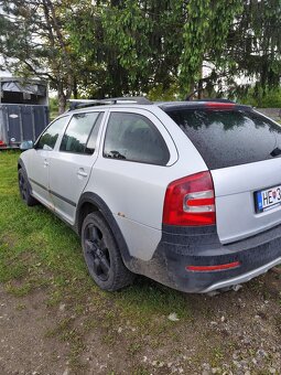 Octavia Scaut - 10