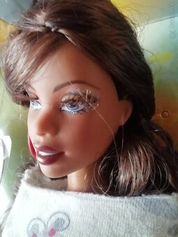Barbie Christie a Fairy Topia - 10
