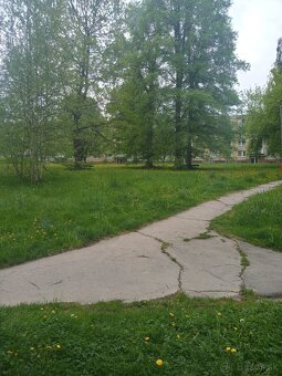 Predam 3izbovy byt u Hluška - 10