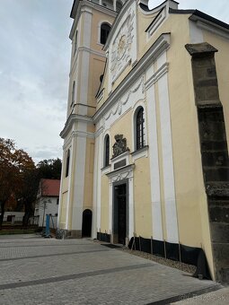 Profesionálne maľovanie fasadov, striech, izieb …. - 10