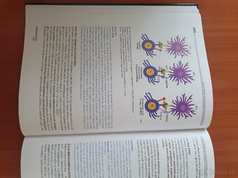 Parodontológia 6 - 10