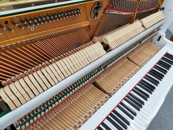 Hohner Jedinečná kvalita dovoz celá SR - 10