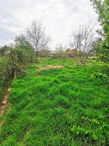 Predaj pozemok, rodinný dom, Trnavská ulica, BERNOLÁKOVO - 10