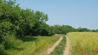 Predám dva vinohradnícke domy s pozemkami medzi vinohradmi p - 10