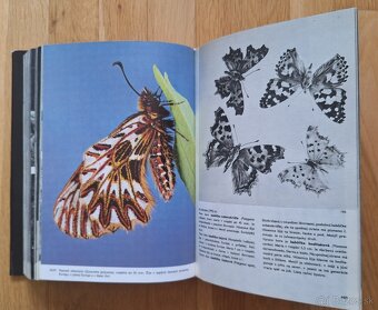Velky obrazovy atlas hmyzu - 10