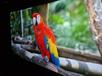 Benq W5700 + Elite Screens AR110DHD3 - 10
