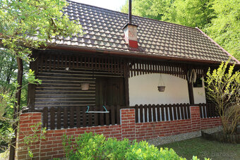 PREDAJ DREVENICE VEĽKÉ ROVNÉ - 10