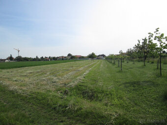 stavebny pozemok kosuty - 10