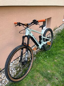 Focus Bike - 10