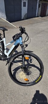 CTM rubby X 29 - 10
