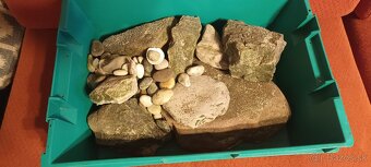 Akvárium 680 L so skrinkou - 10