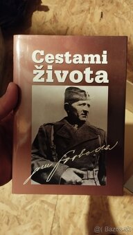 Vojnová tématika - 10