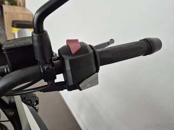 BMW G 310 GS ABS - 10