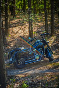Kawasaki Vulcan 1600 Classic - 10