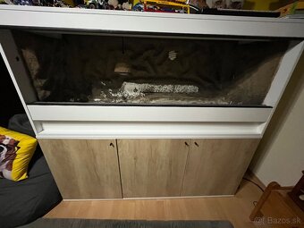 Terarium - 10