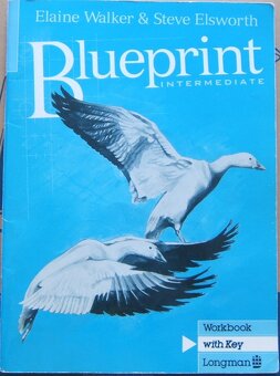 OPENING STRATEGIES, BLUEPRINT INTERMEDIATE, TWO - 10