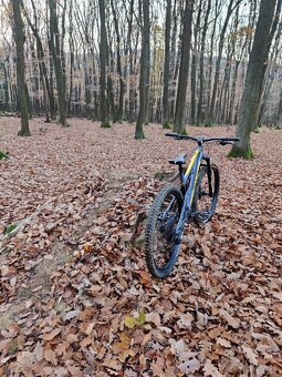 Rock Machine Blizzard TRL 30-29 - 10