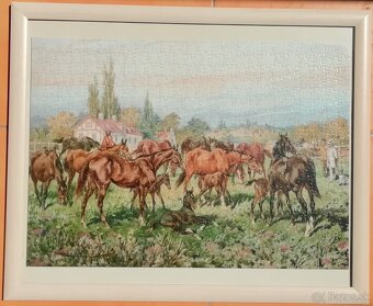 Predam zarámované puzzle (500) - 10