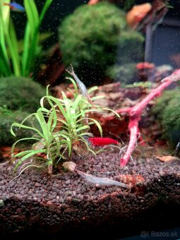 Akvárium NanoCube Dennerle 60l - 10