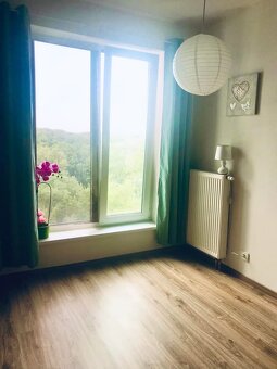 1-izbový apartmán-Rezidencia Draždiak - 10