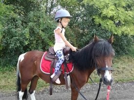 welsh  krasne kobylky - 10