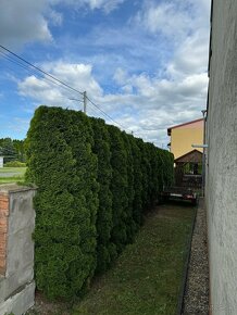 Údržba záhrad, kosenie, pílenie - 10