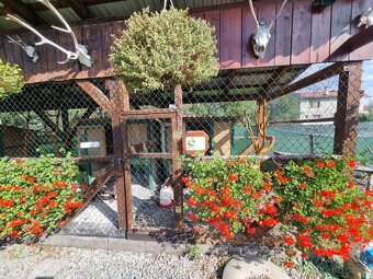 Voliery , klietky - 10